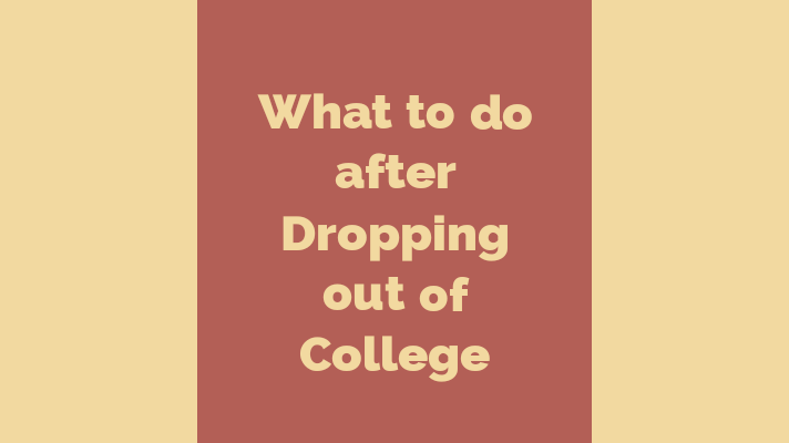 what to do after dropping out of college