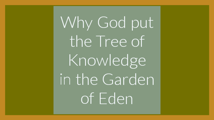 The tree of the knowledge of good and evil