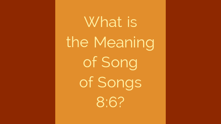 What is the meaning of song of songs 8:6?