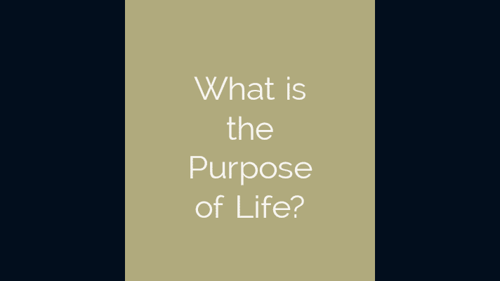 What is the purpose of life?